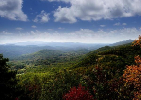 Black Bear Lookout home